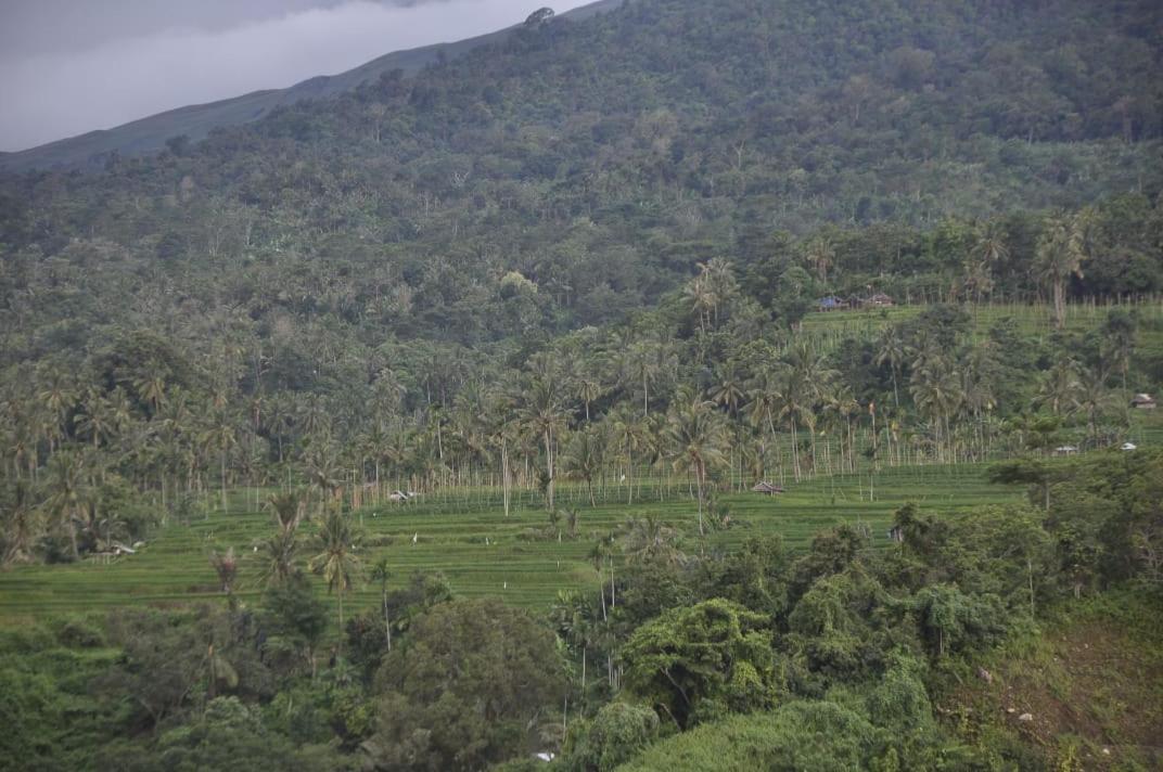 Pondok Guru Bakti Cottage Senaru Esterno foto